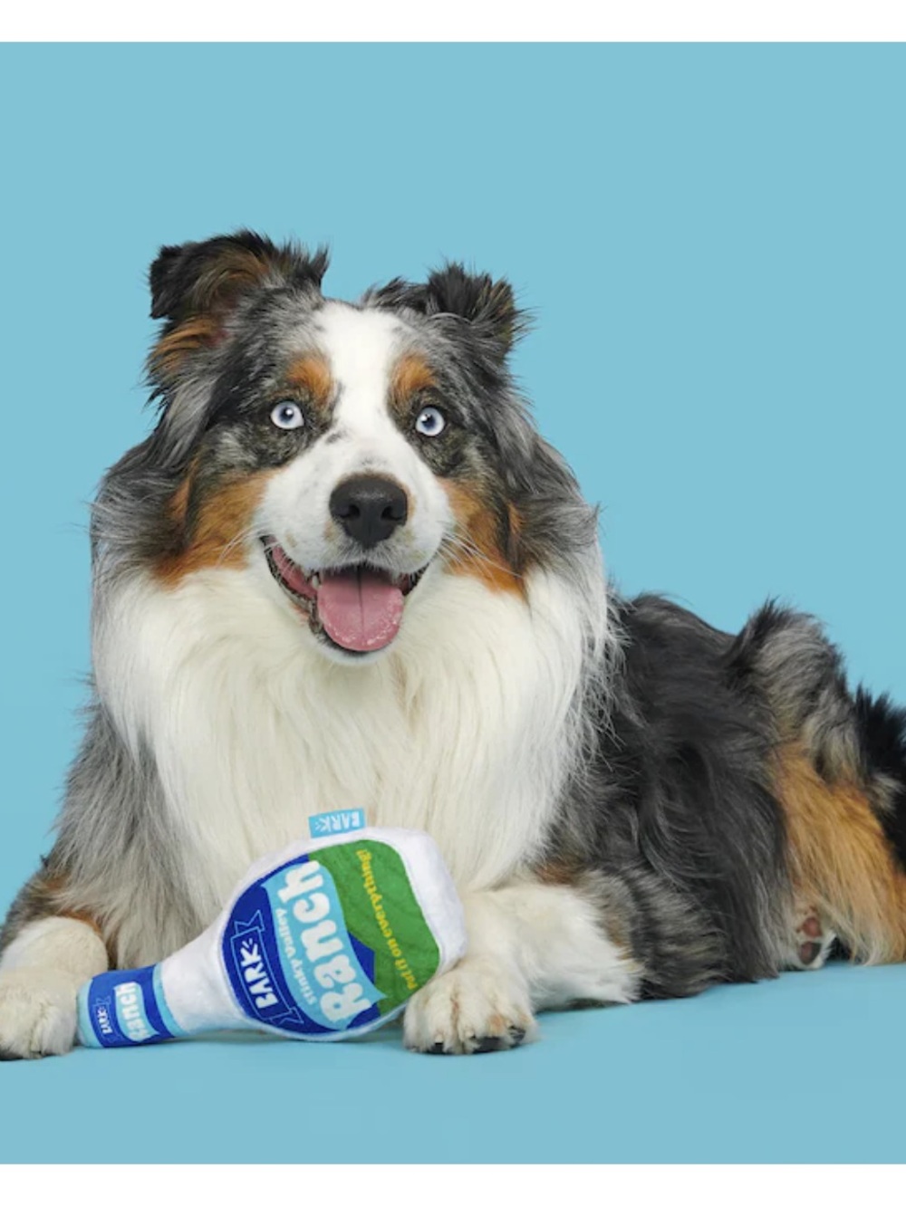 BARK Stinky Valley Ranch Dog Toy | Small/Medium | NWT - Picture 3 of 5
